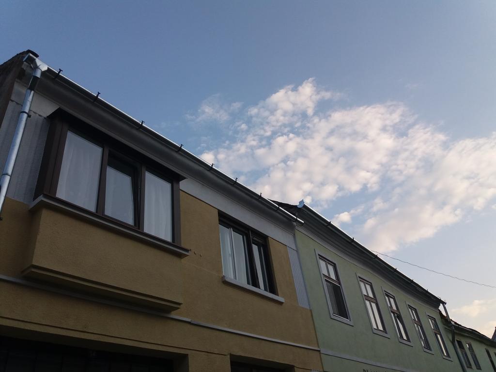 Central Villa Sibiu Dış mekan fotoğraf